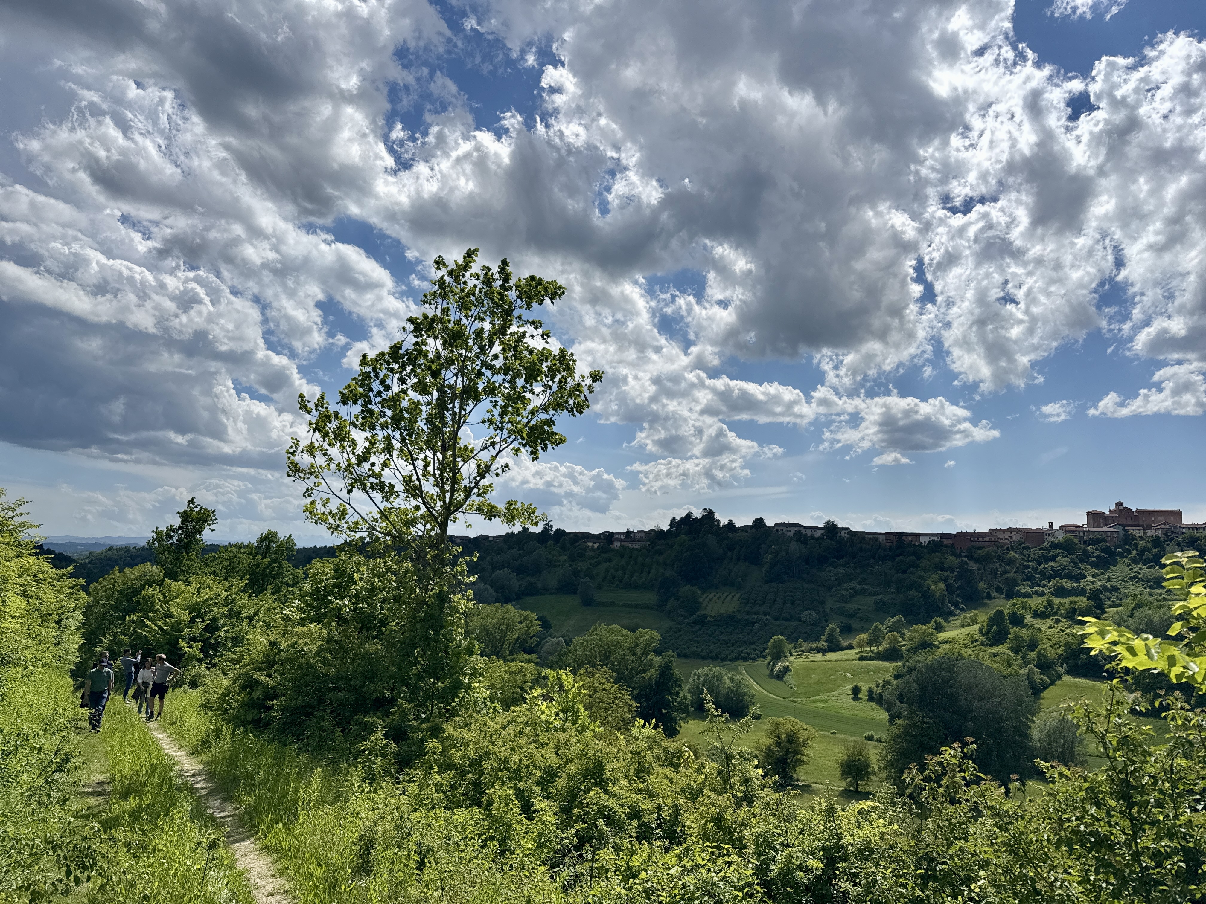 Wandelen